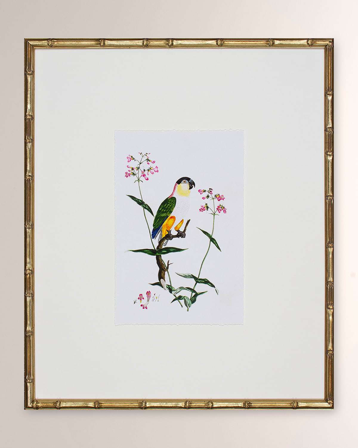 Shadow Catchers Bird Habitat Iv Framed Giclee