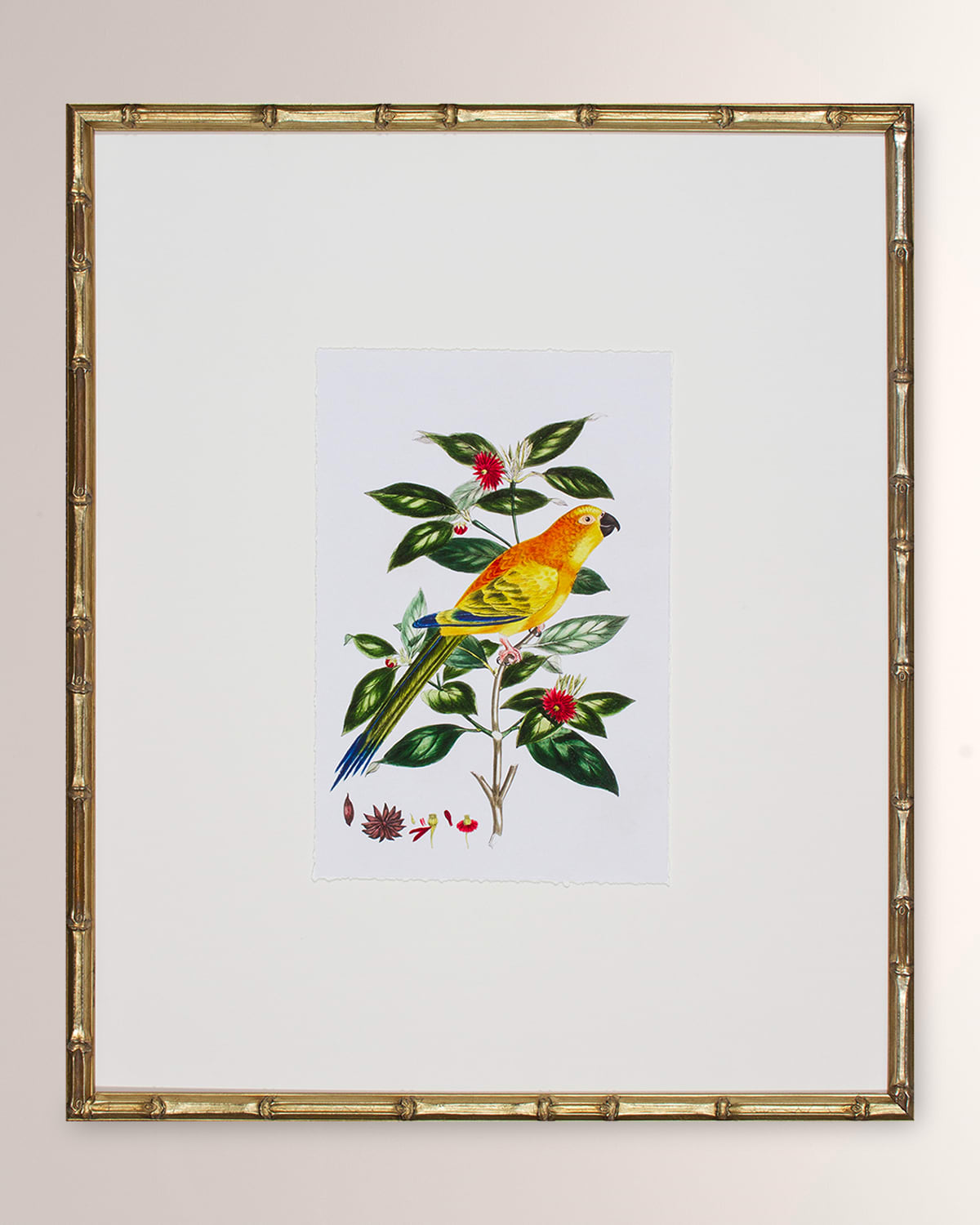 Shadow Catchers Bird Habitat V Framed Giclee