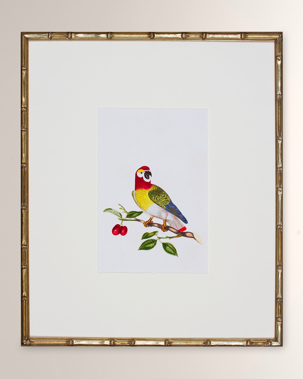 Shadow Catchers Bird Habitat Vi Framed Giclee