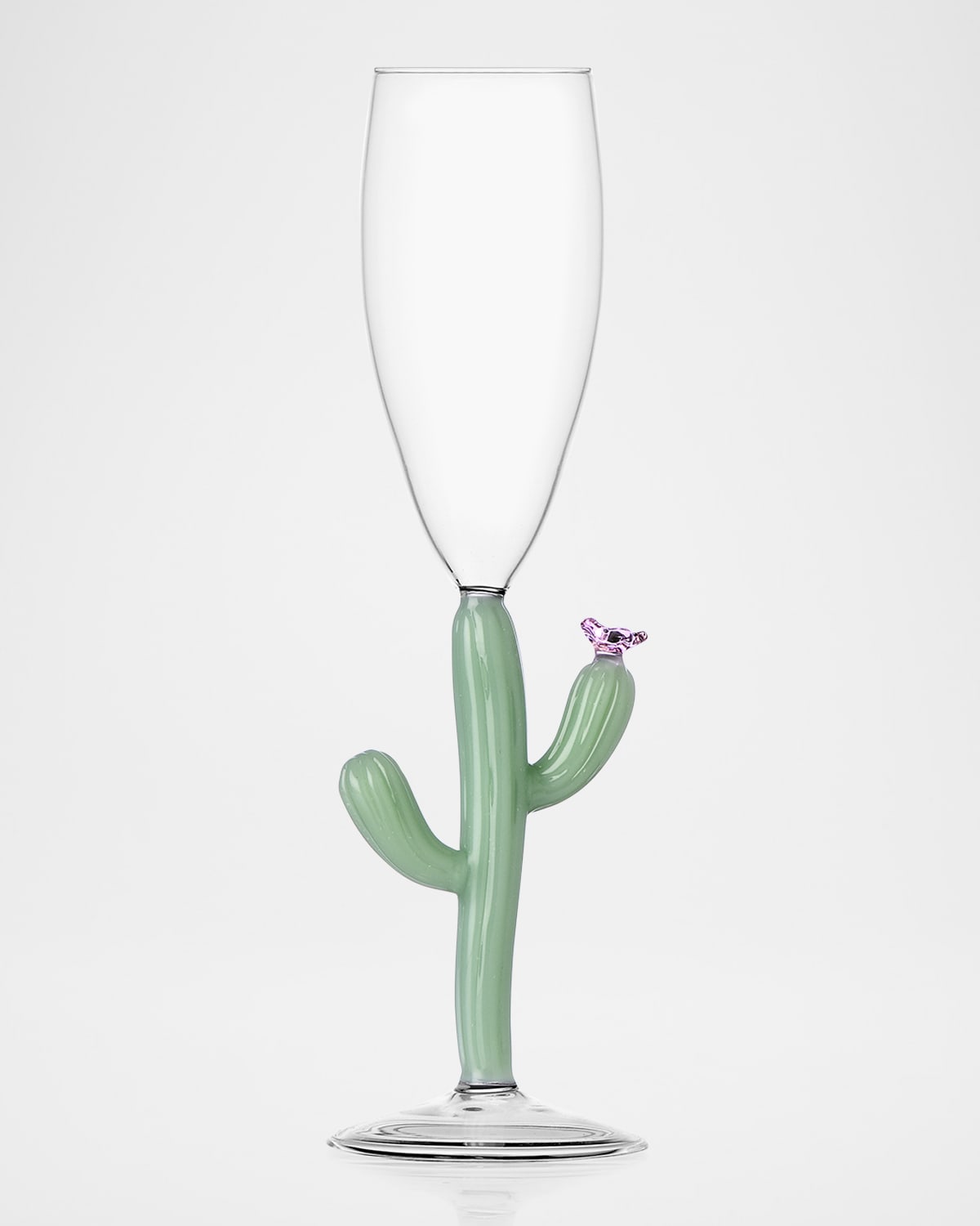 Ichendorf Desert Plants Cactus Flute