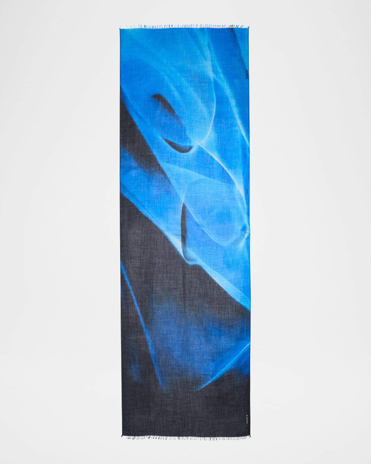 Akris Alyson's Cyanotype Printed Cashmere Scarf