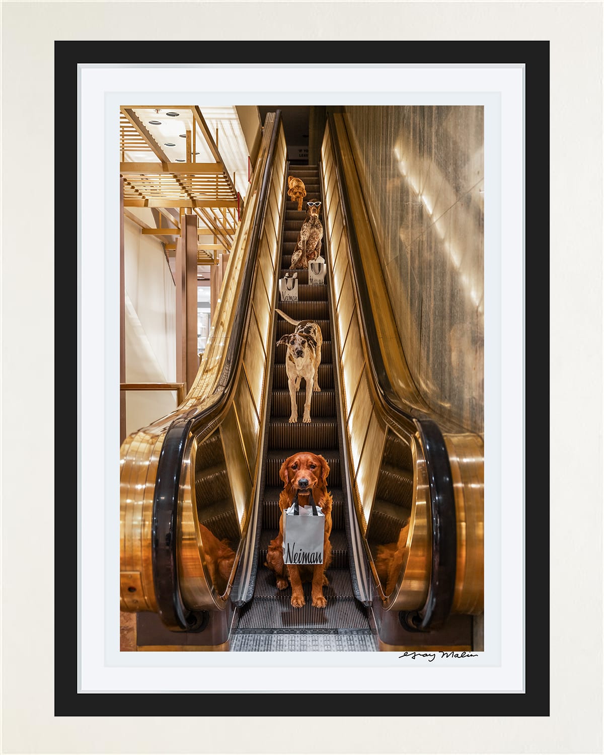 Gray Malin Escalator Ride, Neiman Marcus, Downtown Dallas Framed Fine Art Photography Print