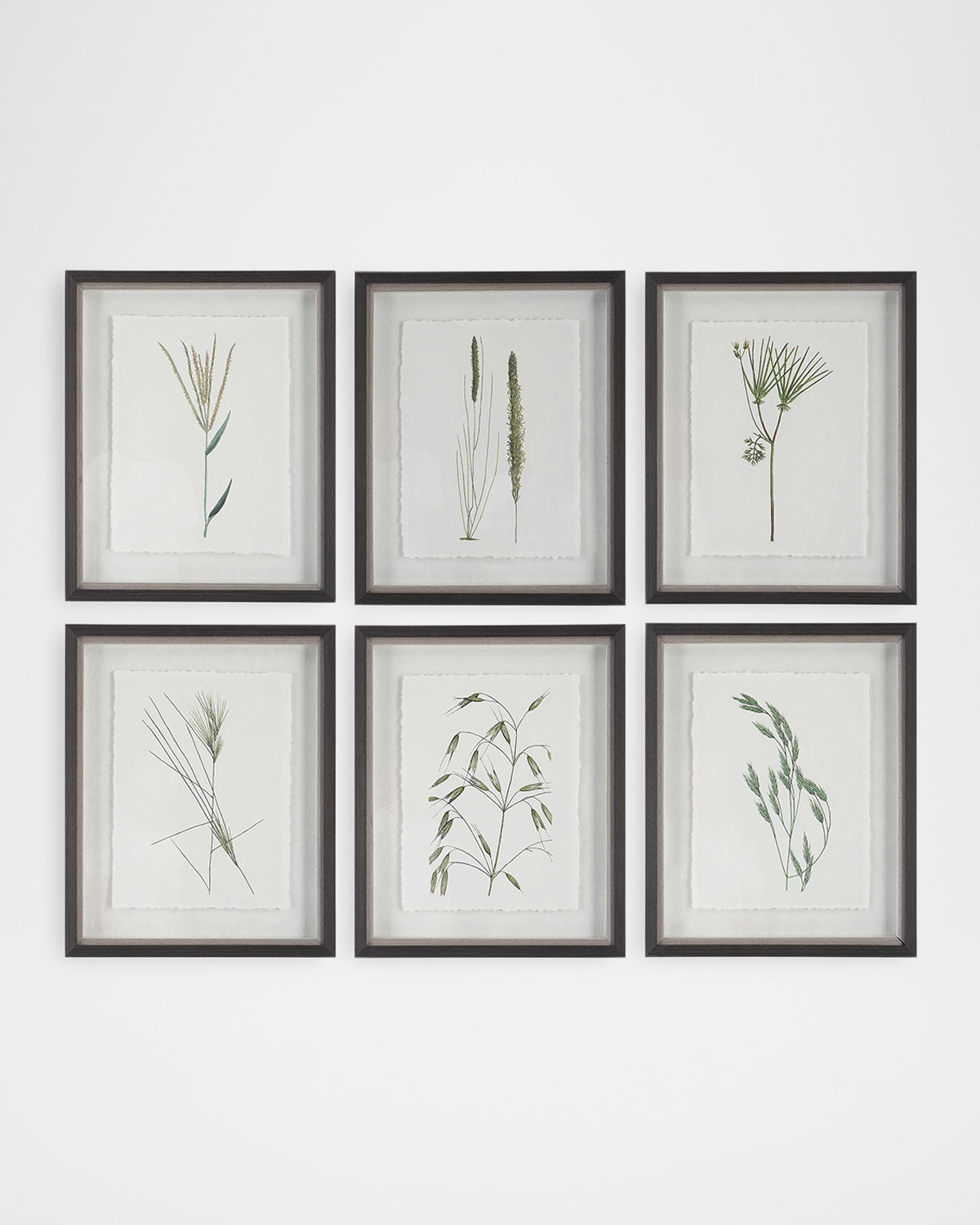 The Uttermost Co Forest Finds Framed Botanical Prints, Set Of 6 In Green