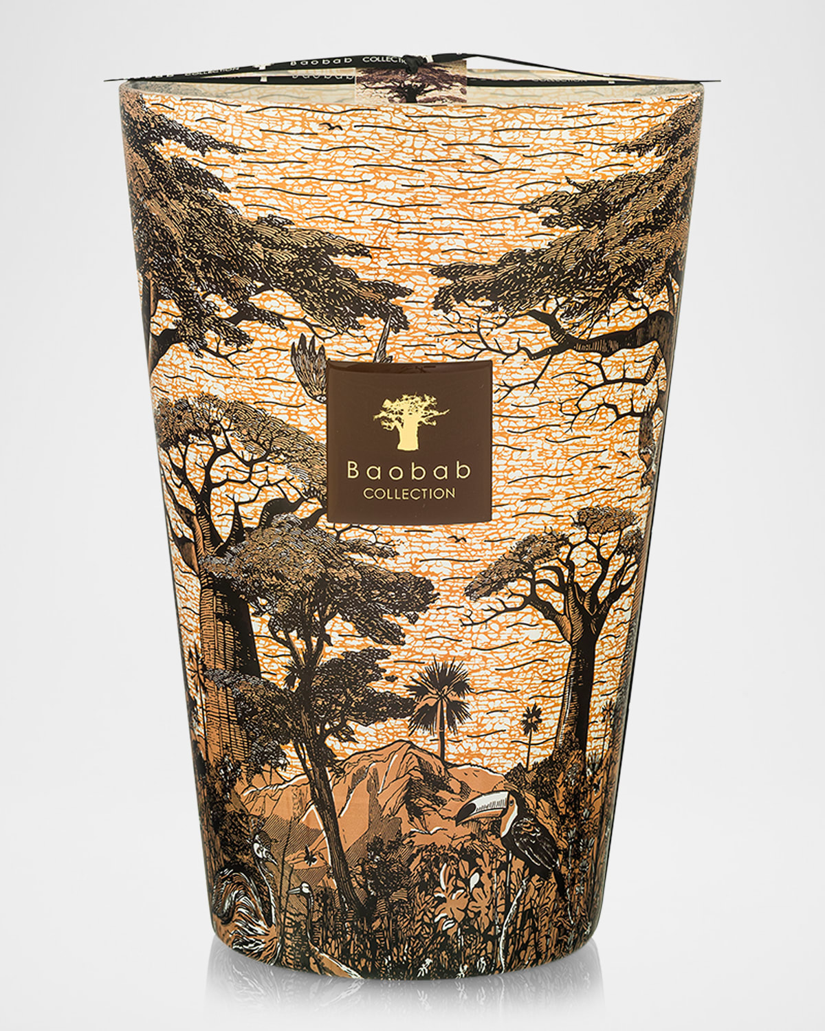 Baobab Collection Sacred Trees Mankono 7-wick Max 35 Candle, 10.35 Kg In Brown