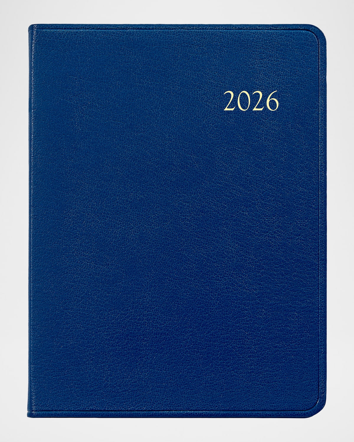 Graphic Image 2026 Leather Daily Journal In Blue
