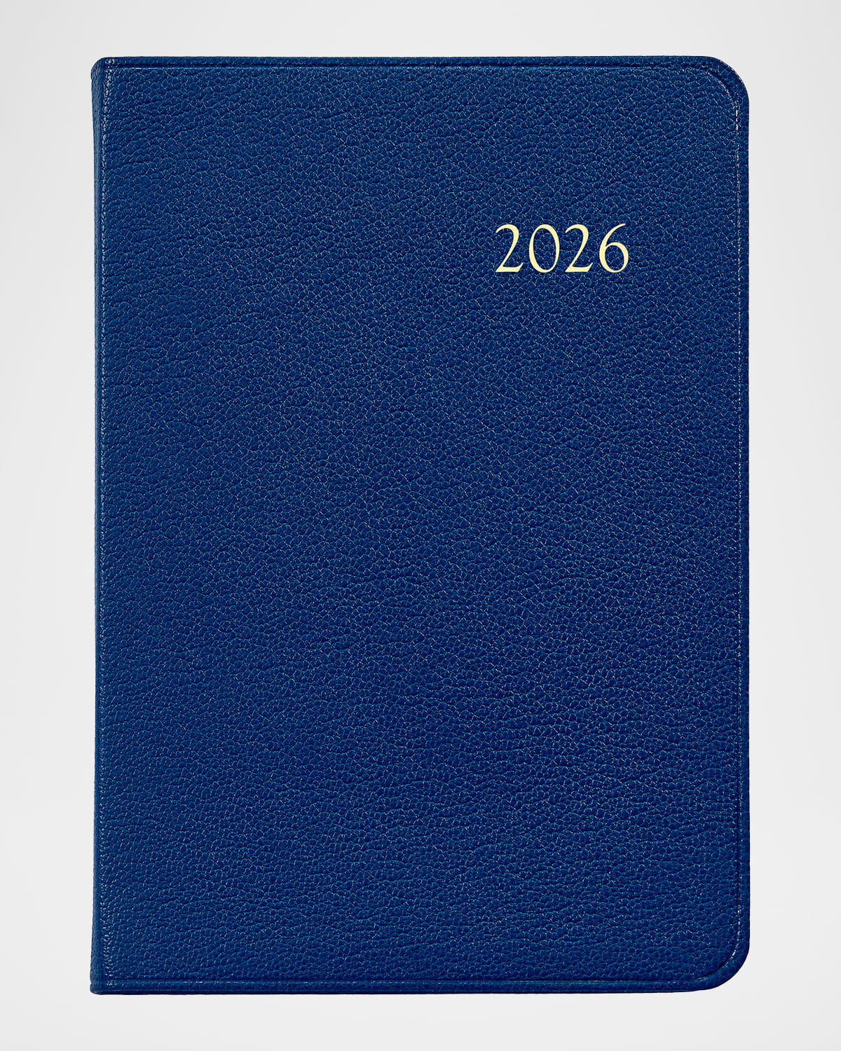 Graphic Image 2026 Leather Daily Journal In Blue