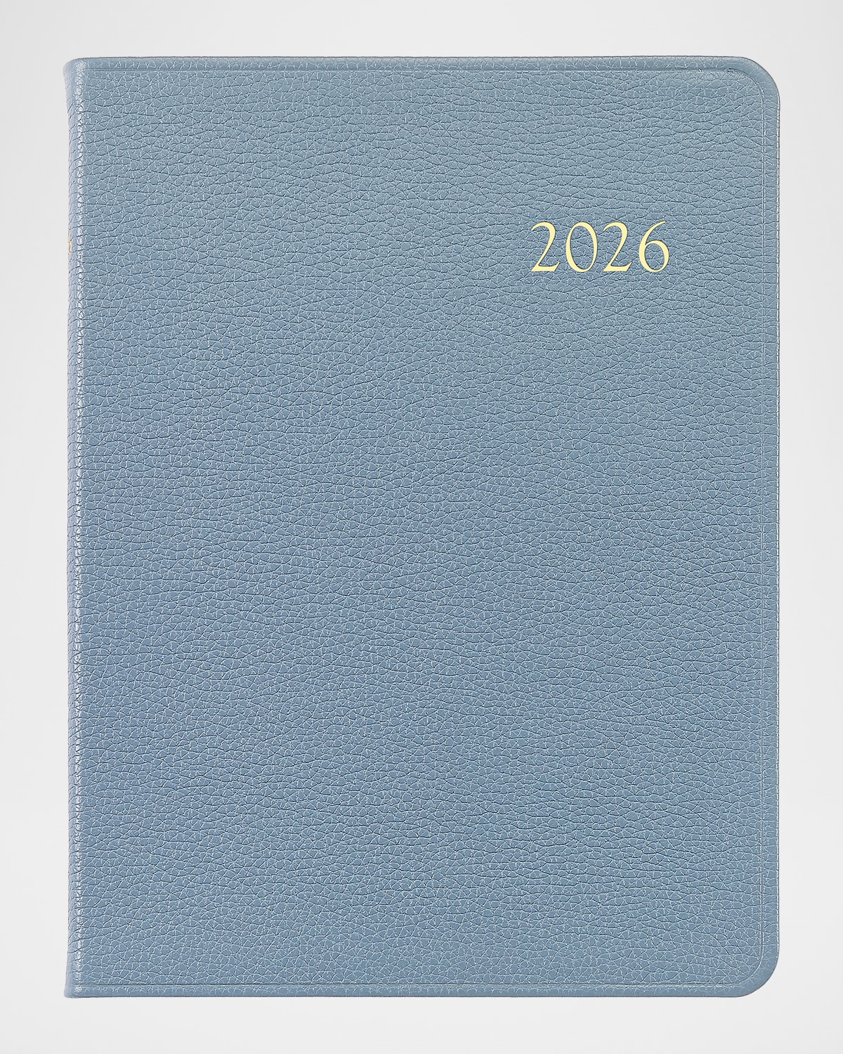 Graphic Image 2026 Leather Daily Journal In Blue