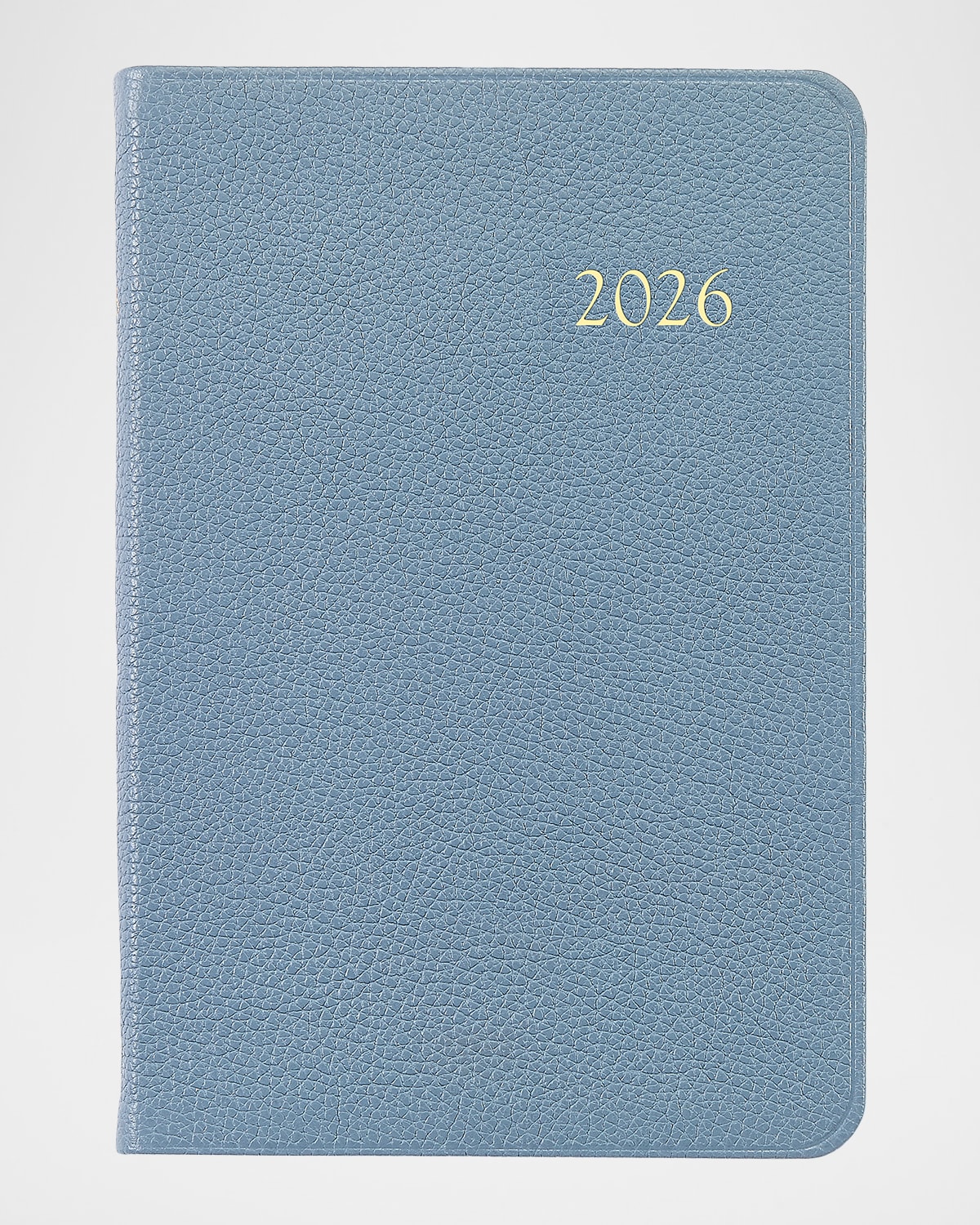 Graphic Image 2026 Leather Daily Journal In Blue