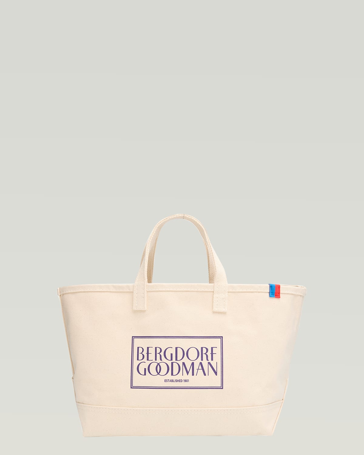 Kule The Bg Medium Canvas Tote Bag In Purple