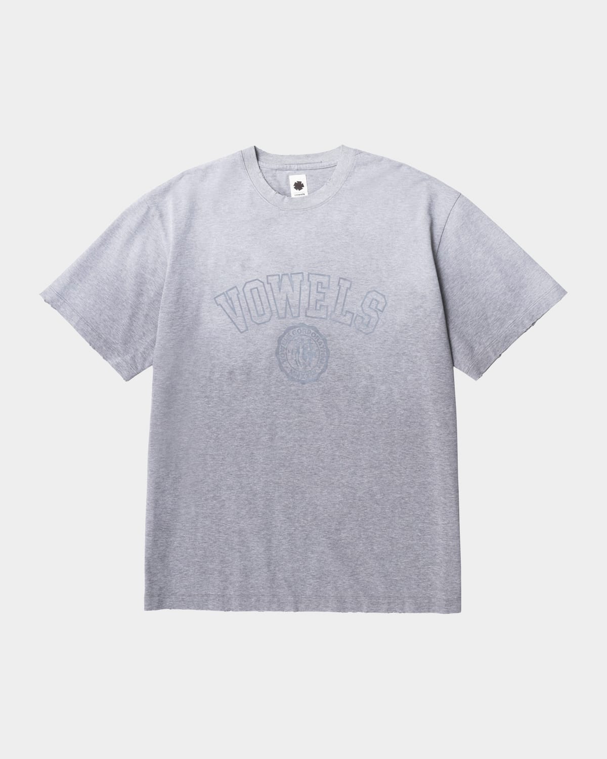 vowels Men 's Faded Collegiate Tee