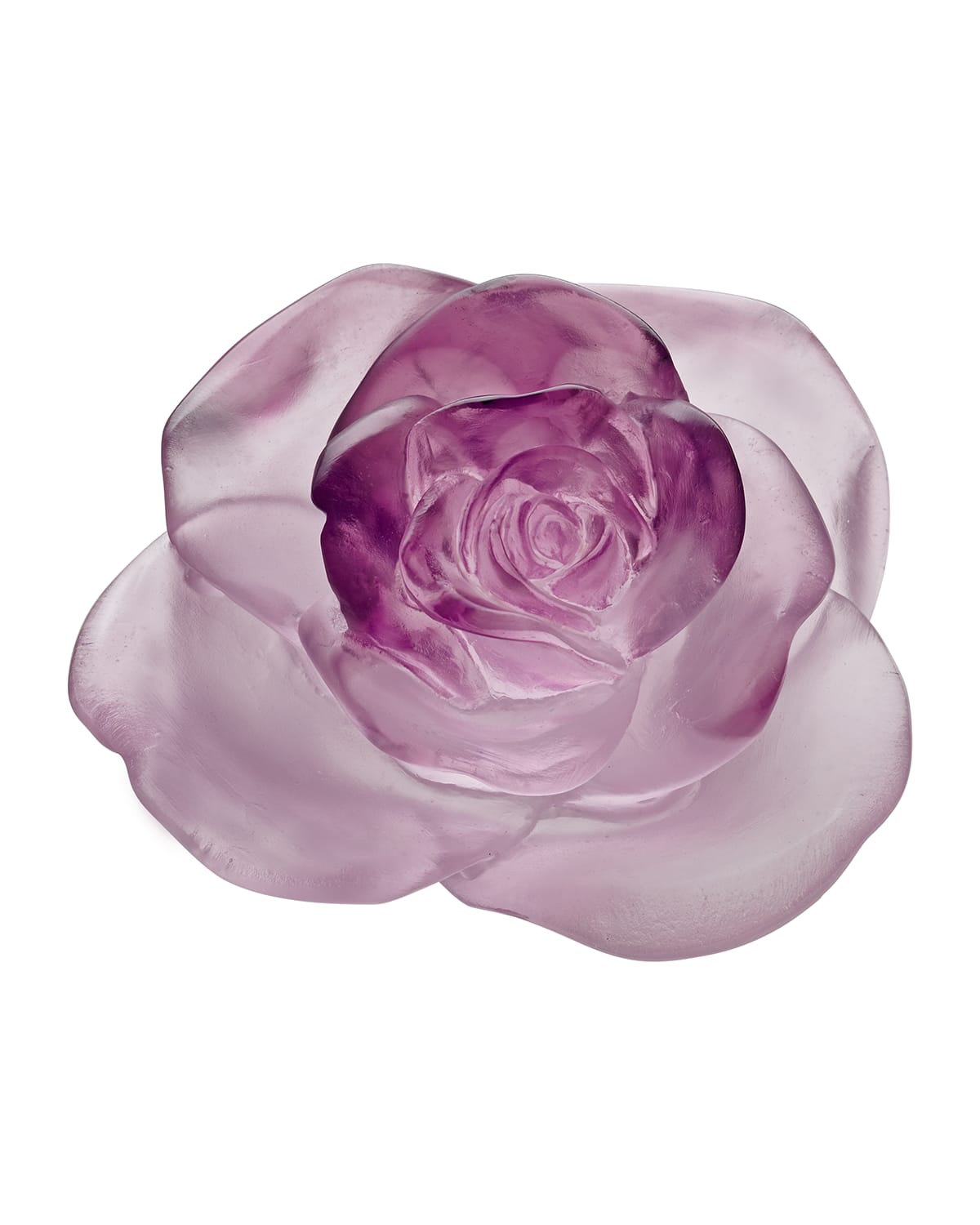 Daum Rose Passion Pink Flower