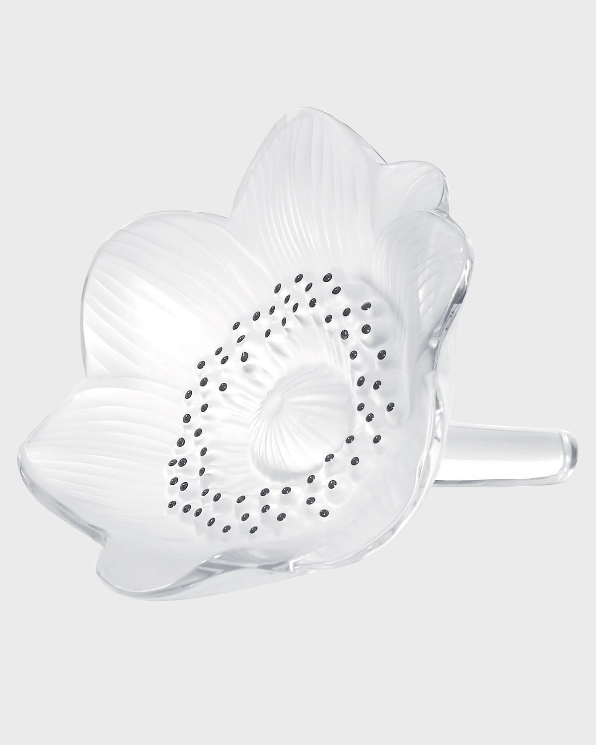 Lalique Anemone Flower Sculpture In Not Supld