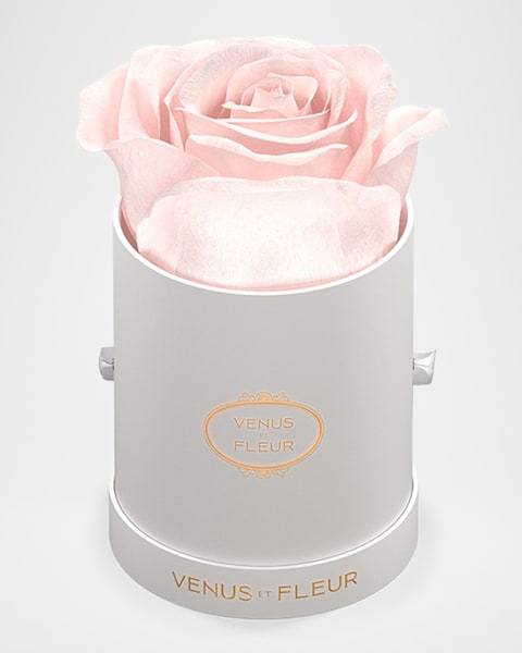 Classic Large Square Rose Box
