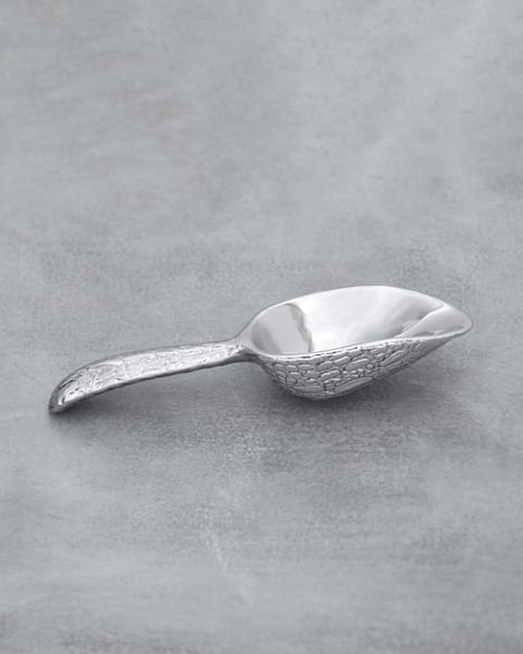 Beatriz Ball Pieles Croc Ice Scoop main image 0