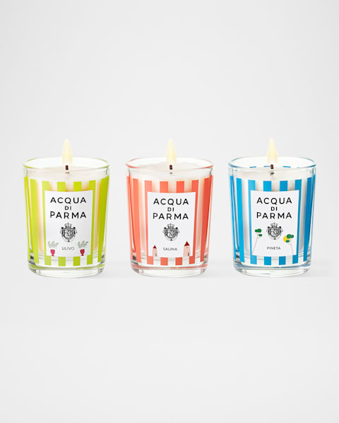 DIPTYQUE 2024 Limited Edition Valentines Baies and Roses