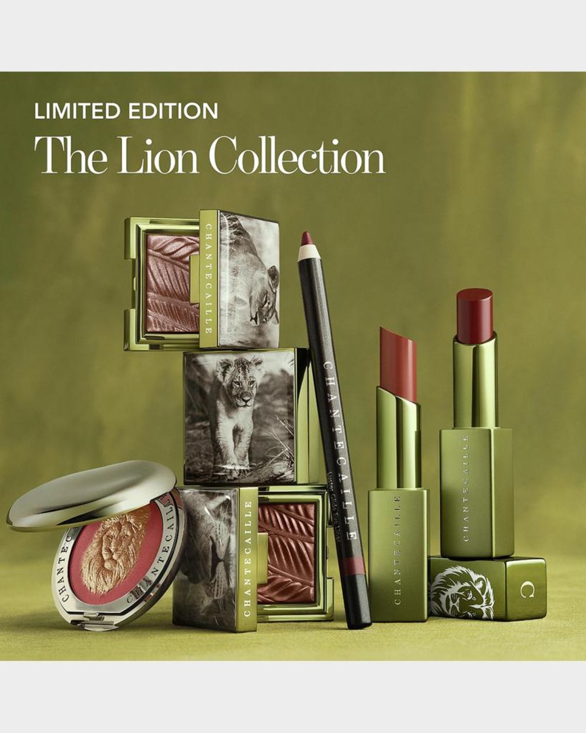 Chantecaille Luster Glide Eye Pencil In Multi