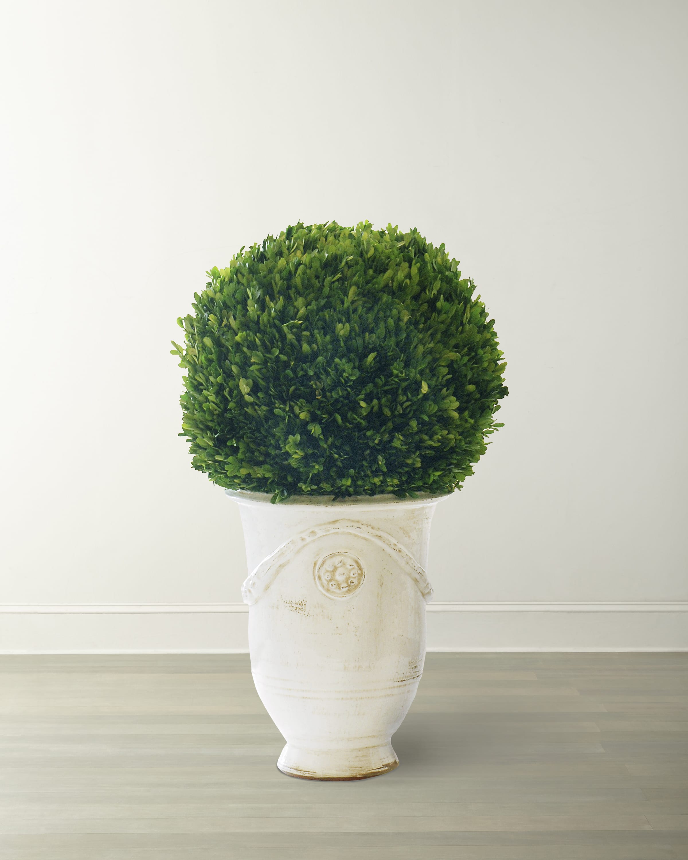 Winward Boxwood Ball in Urn Neiman Marcus