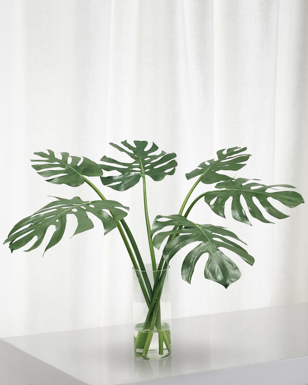 Faux Multi Monstera in Vase 31"