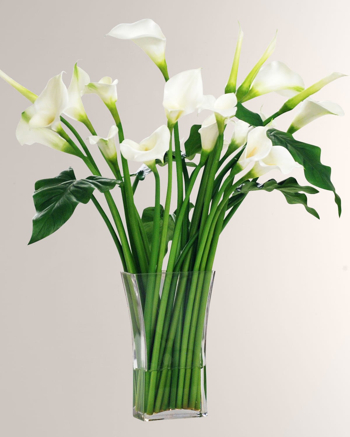 Winward Calla Lily in Clear Cylinder Vase Neiman Marcus