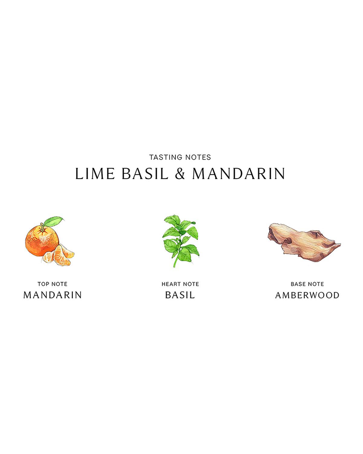 JO MALONE 라임 바질 & 만다린 바디 & 핸드 워시 8.5 oz.