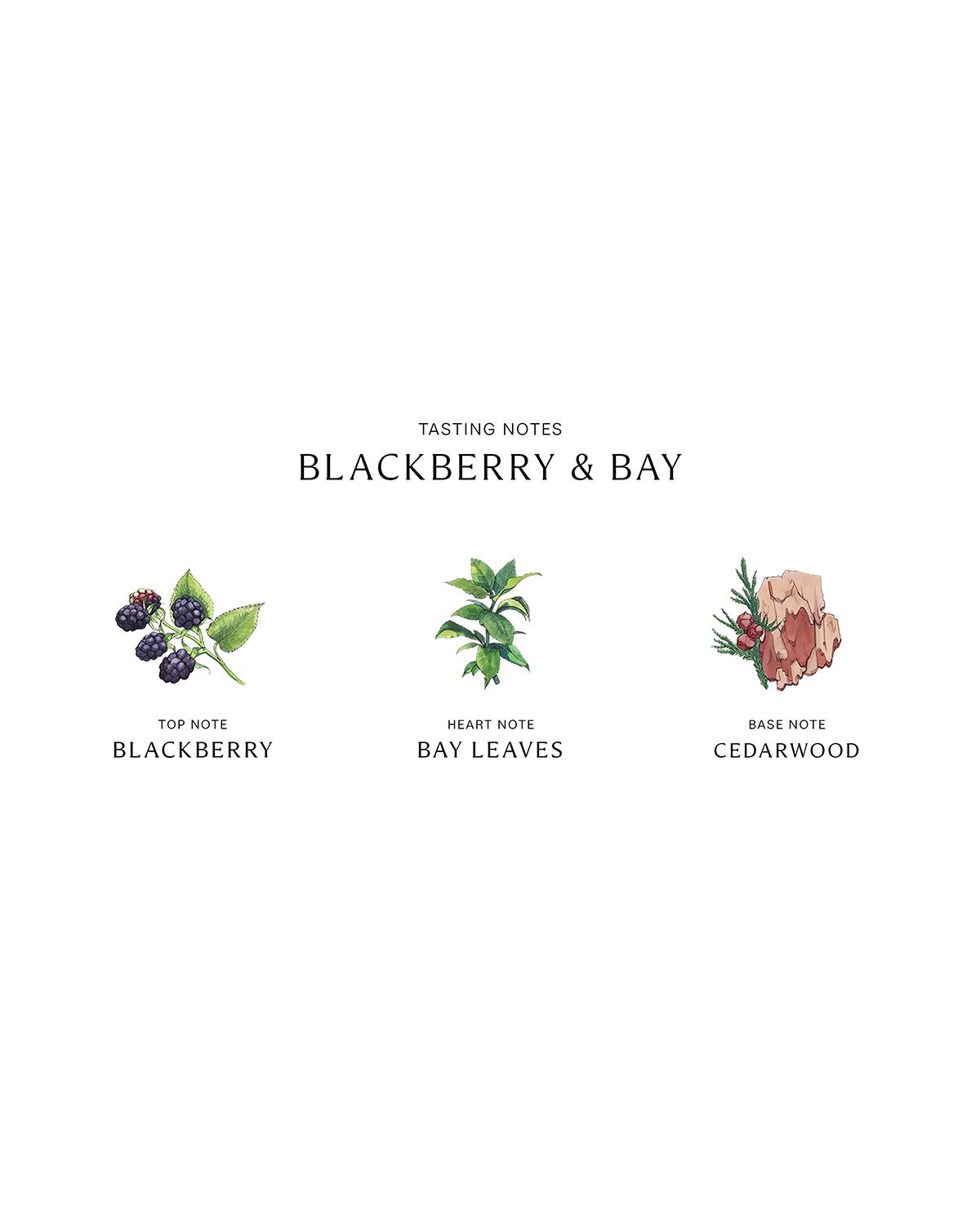 JO MALONE 블랙베리 앤 베이 향초