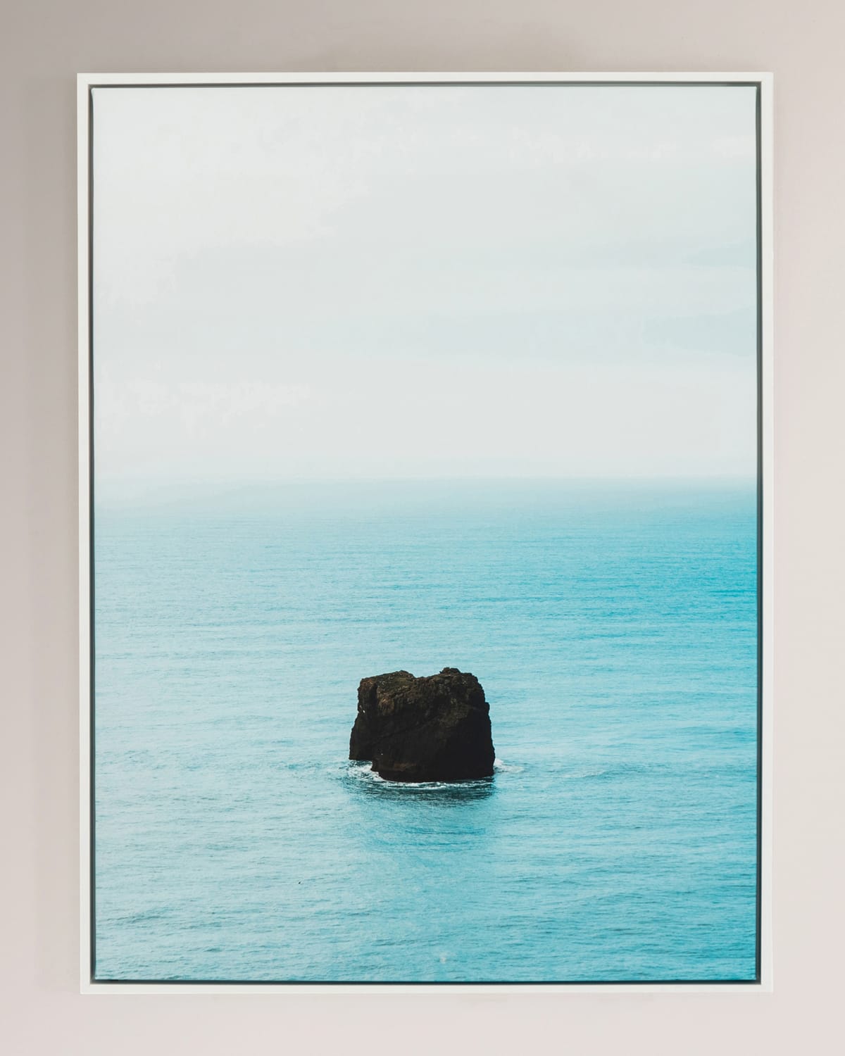 Four Hands Art Studio "Spotlight" Photography Print on Canvas Framed