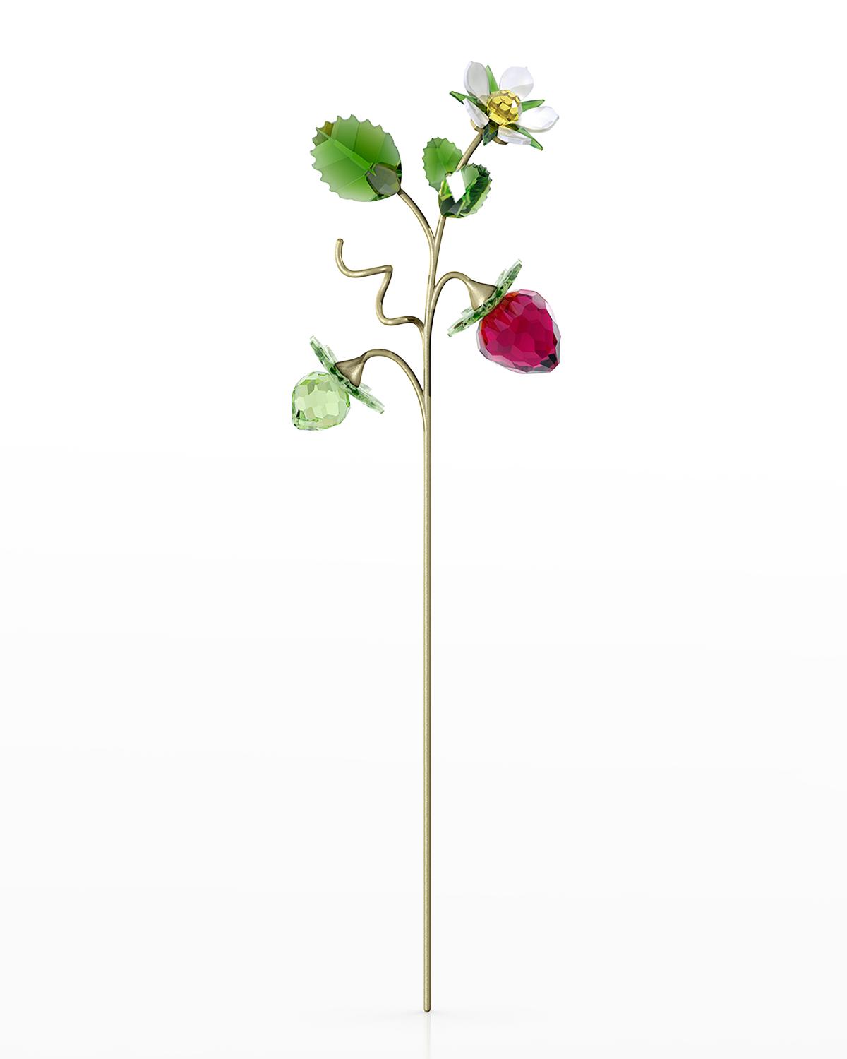 ☆未使用品☆ SWAROVSKI Garden Tales 野イチゴ Swarovski Garden