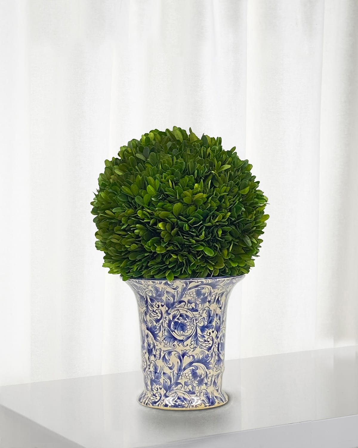 Winward Preserved Coneball Boxwood Topiary In Porcelain Vase 24