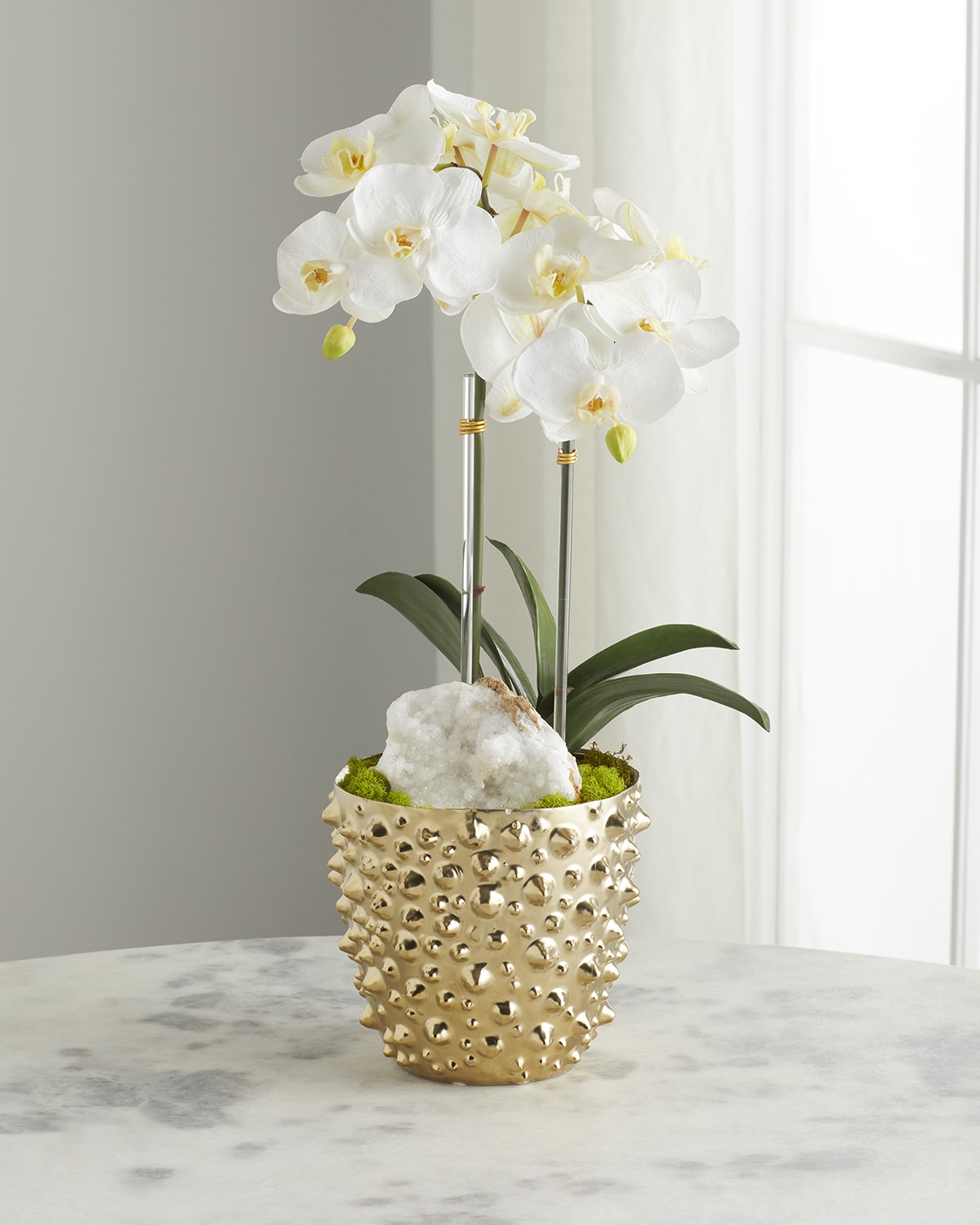 T&C Floral Company Double Orchid Arrangement in White Finned Pot