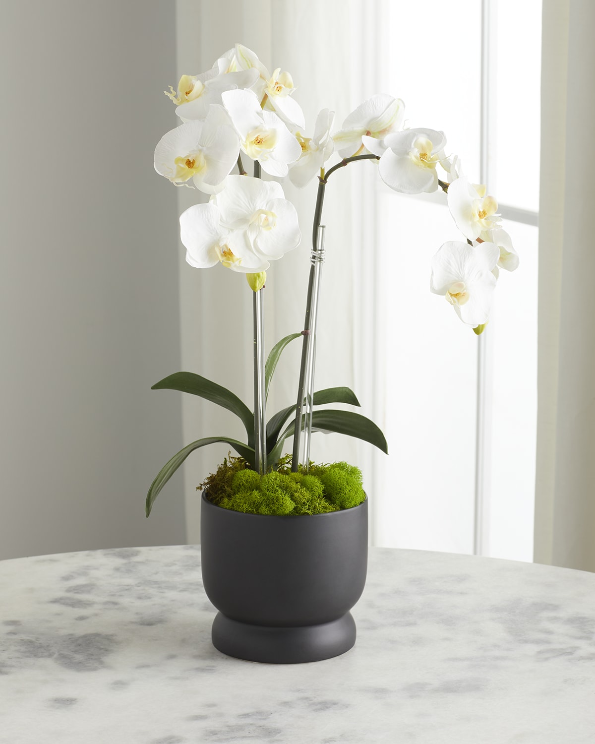 T&C Floral Company Double Orchid Arrangement in White Finned Pot