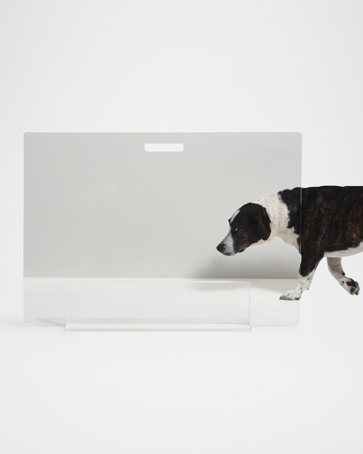 HIDDIN Clear FreeStanding Pet Gate Panel, 30" Neiman Marcus