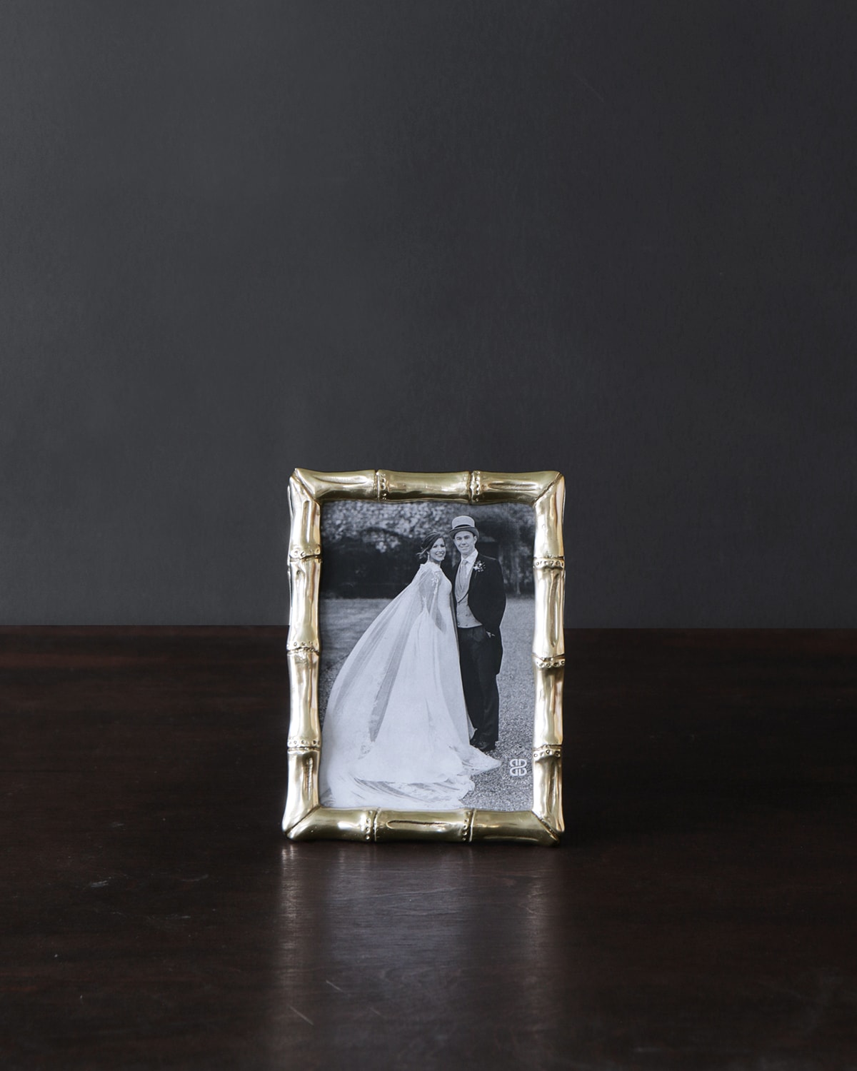 Sierra Modern Gold Croc 4x6 Frame