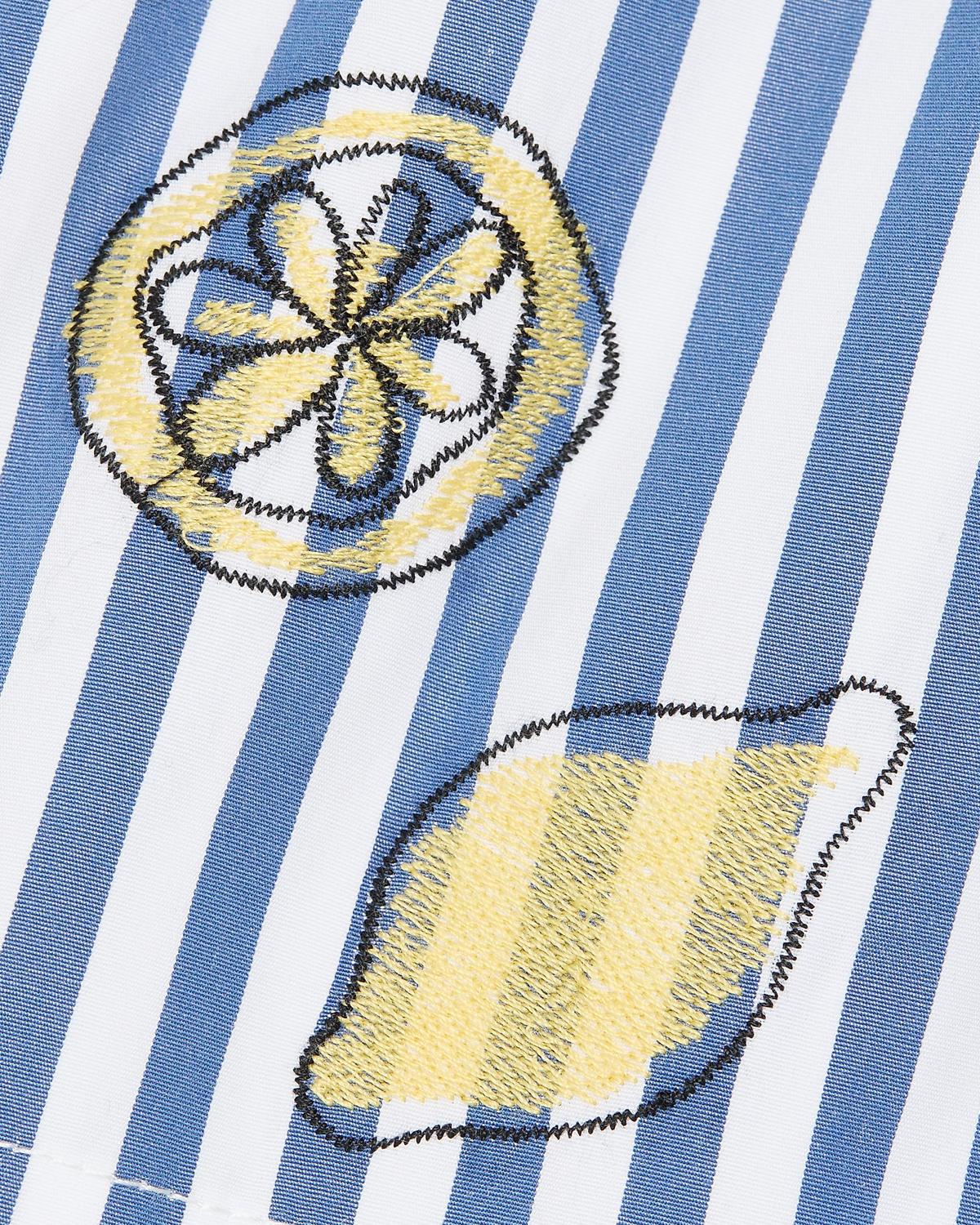 Fallon Striped Cotton Shorts - thumbnail 5