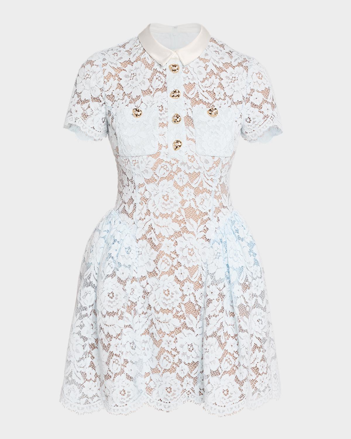 Lace Fit & Flare Mini Dress