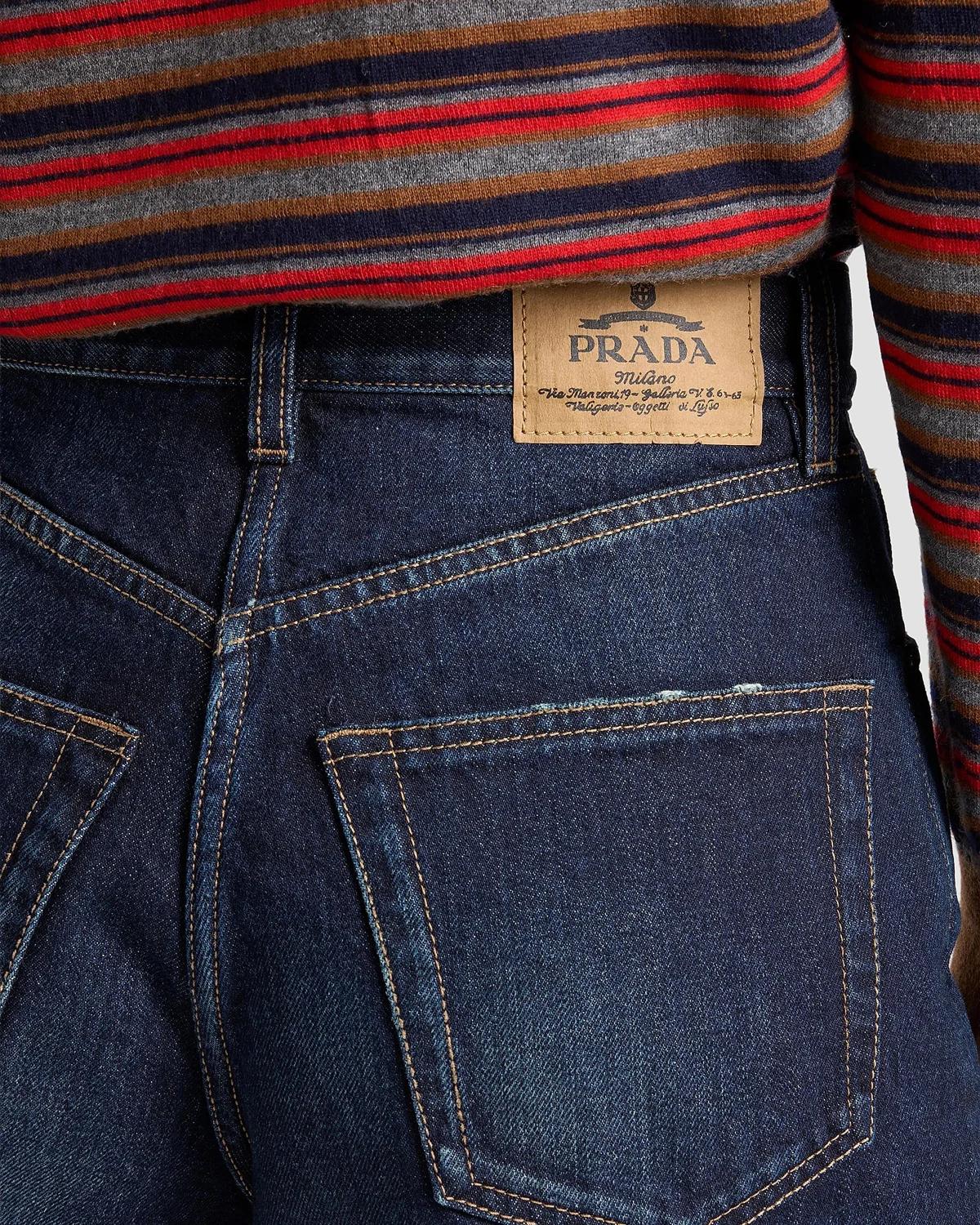 Denim Whiskered Shorts - thumbnail 5