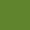 GREEN PATTERN