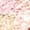 03 VOILE ROSE