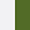 OLIVE  WHITE