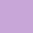 PURPLE PURPLE