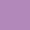 WHITEPURPLE FLORAL