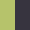 FERN MULTI