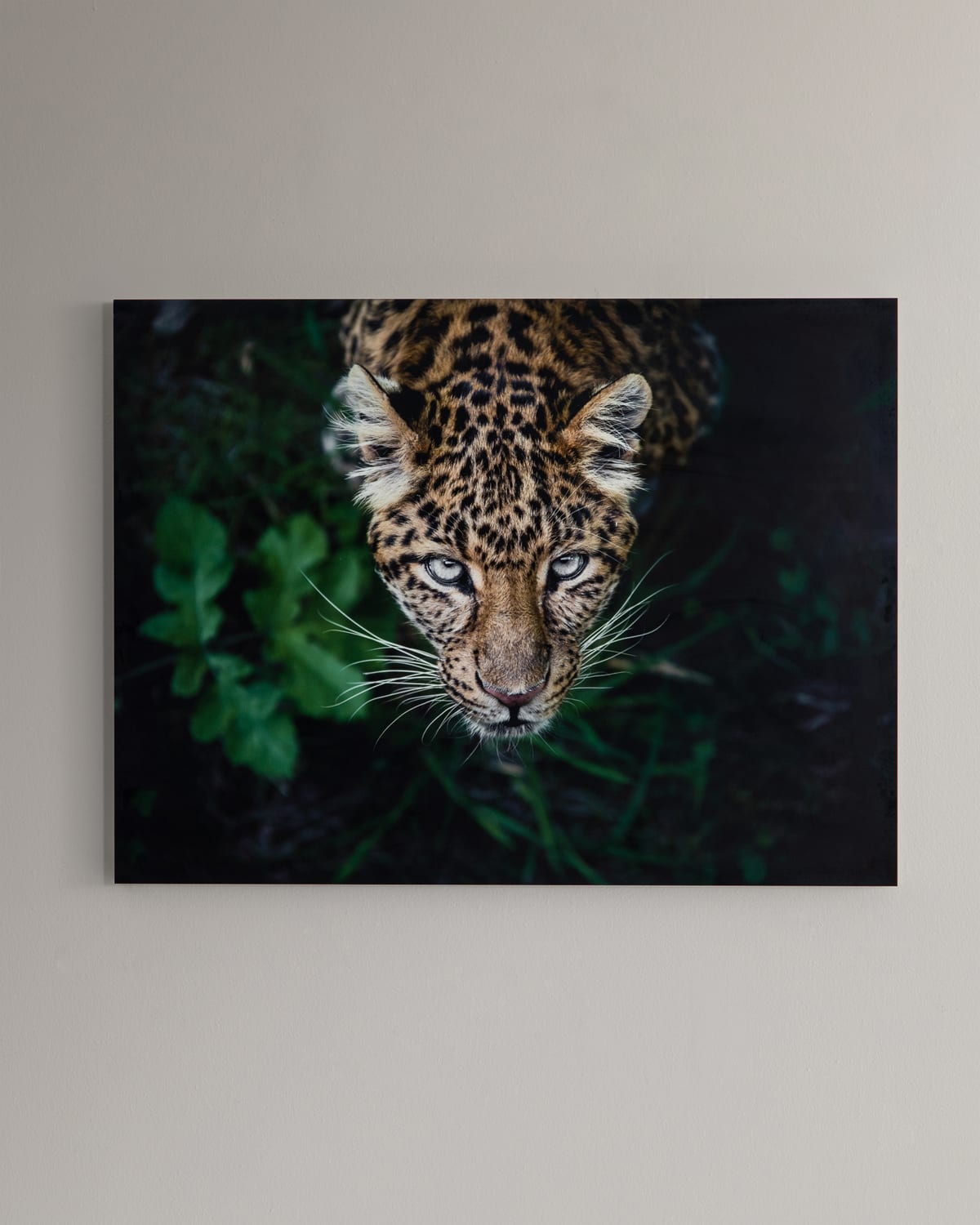 "Cloud Dream" Giclee on Canvas Wall Art Neiman Marcus