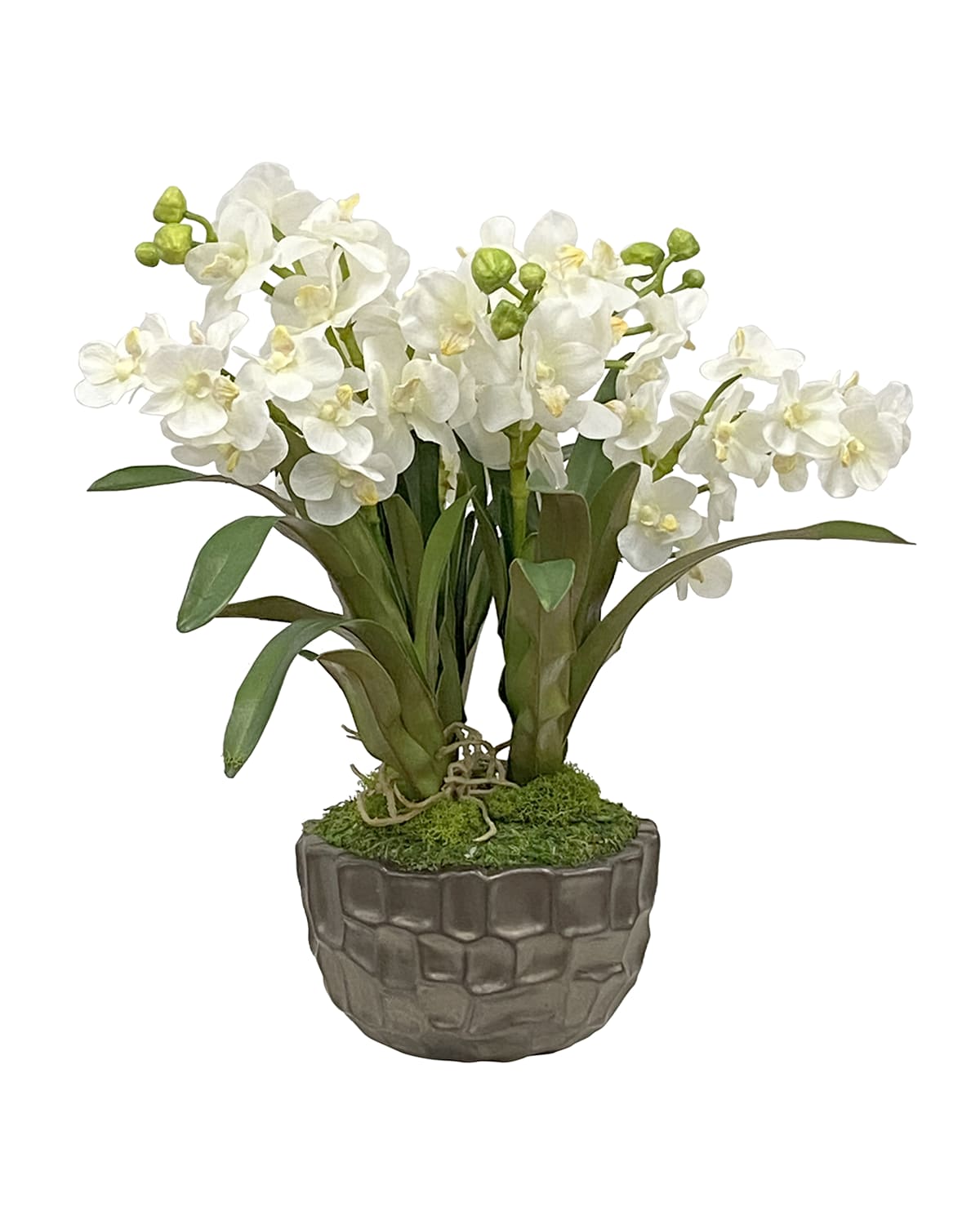 Winward Home Vanda Orchid in Bowl | Thumbnail 4