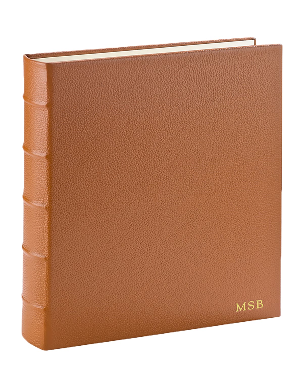 Graphic Image Large Clear Pocket Photo Album