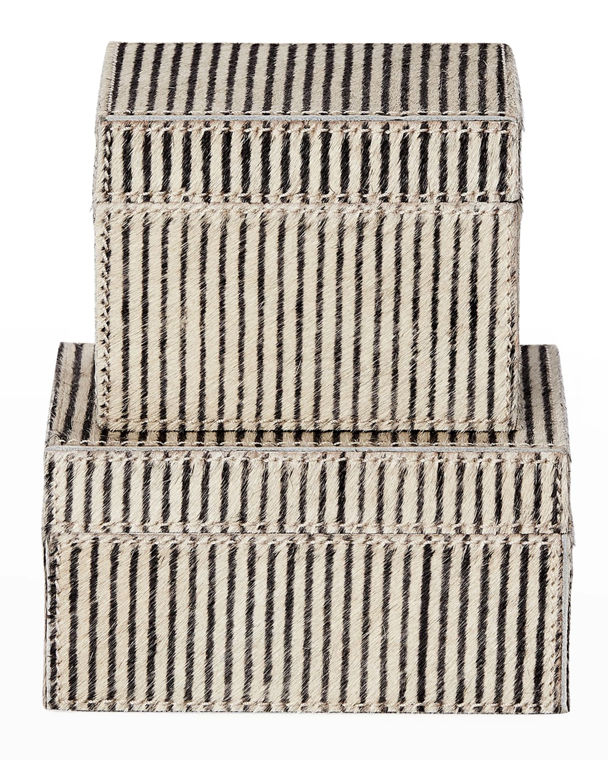 Pigeon and Poodle Riga Box Set