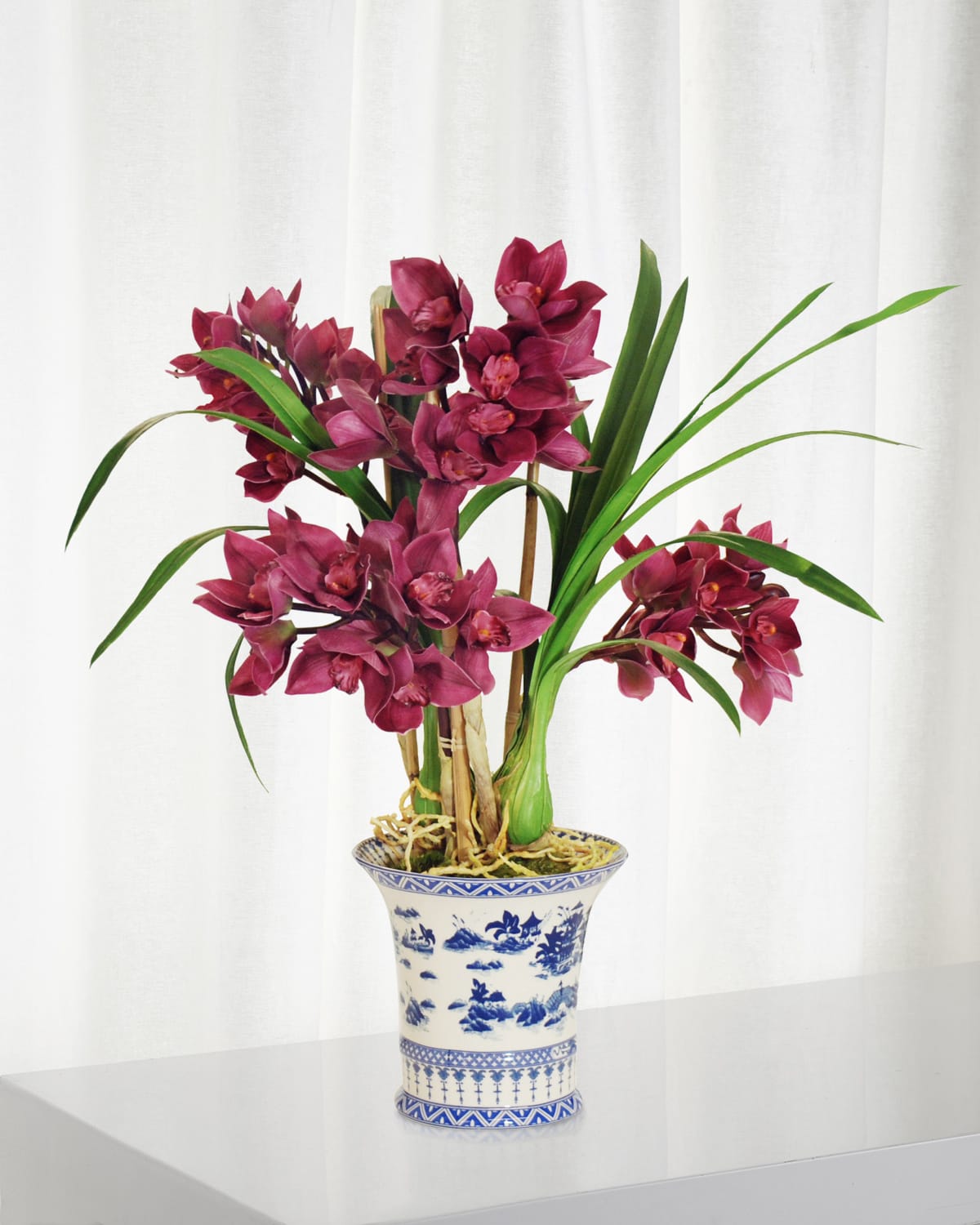 Winward Home Cymbidium in Oval Planter | Thumbnail 4
