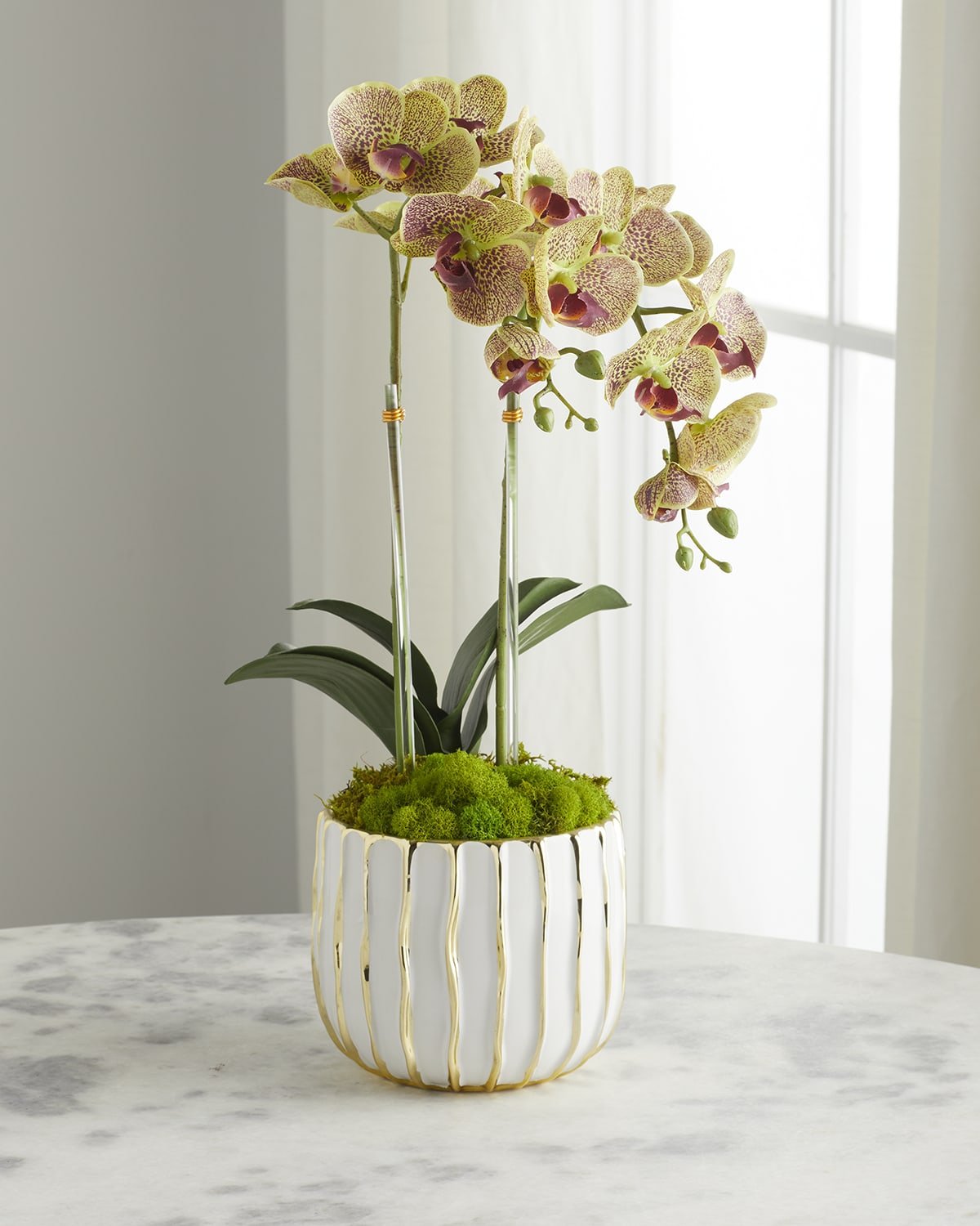 T & C Floral Company White Orchid in White/Gold Pot | Thumbnail 4 T & C Floral Company White Orchid in White/Gold Pot | Thumbnail 4