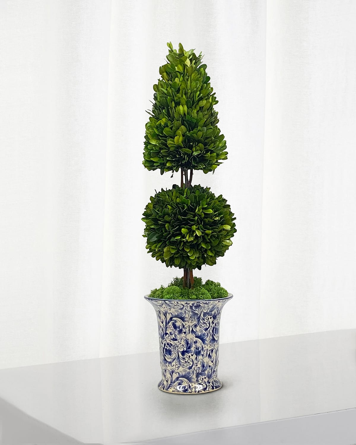 Winward Home Preserved Coneball Boxwood Topiary In Porcelain Vase - 24" | Thumbnail 4 Winward Home Preserved Coneball Boxwood Topiary In Porcelain Vase - 24" | Thumbnail 4