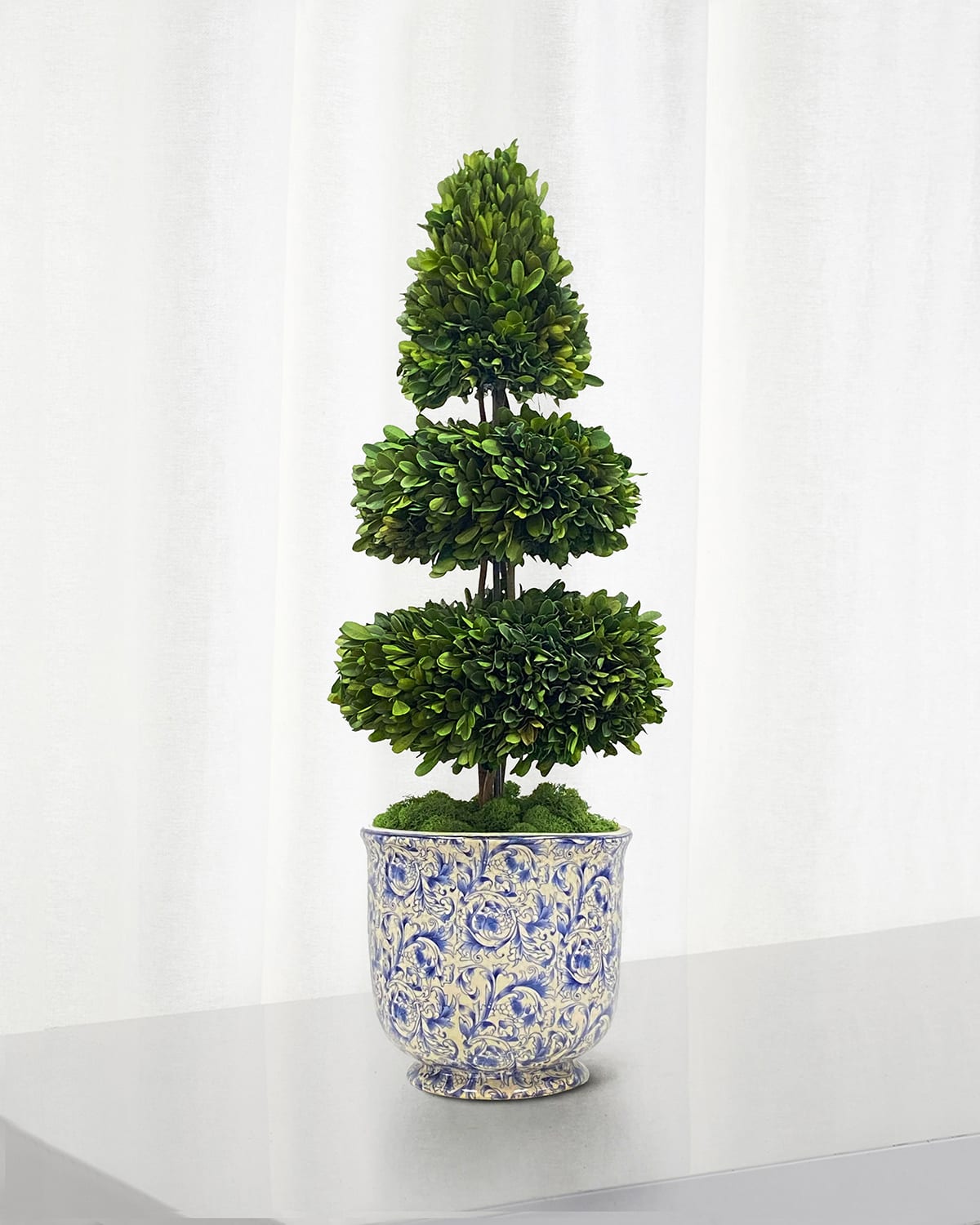 Winward Home Rodeo Boxwood Topiary | Thumbnail 4 Winward Home Rodeo Boxwood Topiary | Thumbnail 4