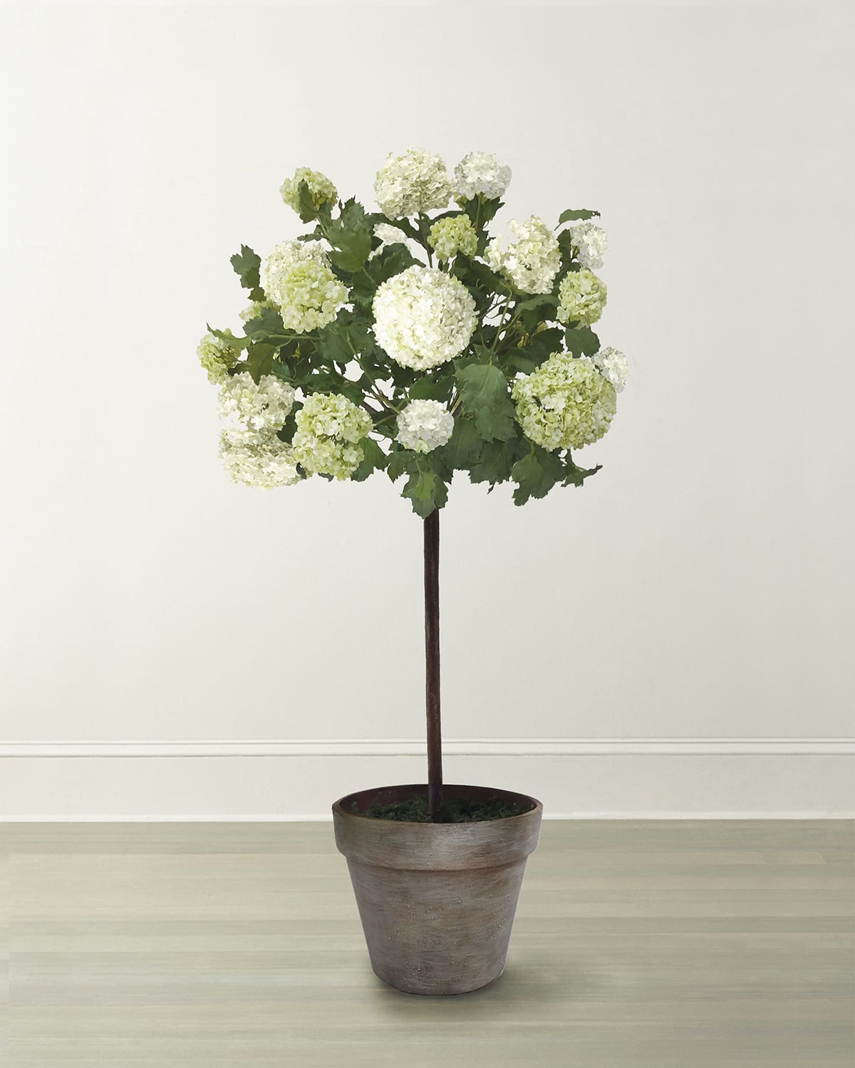 Winward Home Snowball Flower Tree in Pot